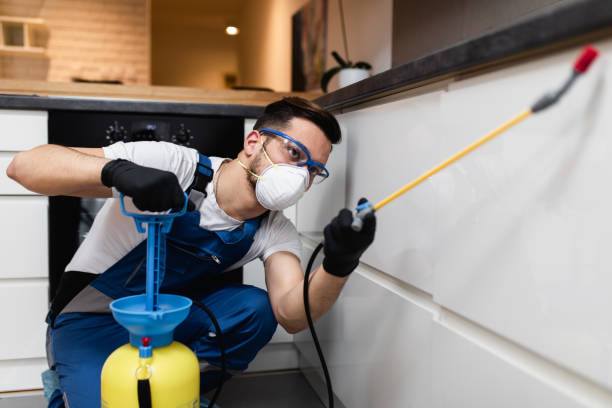 Best Local Pest Control Services  in Gardner, KS