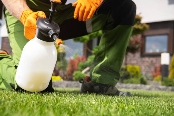 Best Flea Control Services  in Gardner, KS