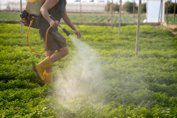 Best Exterminator Services  in Gardner, KS