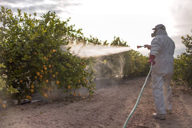 Best Bed Bug Extermination  in Gardner, KS