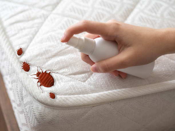 Best Pest Inspection Near Me  in Gardner, KS