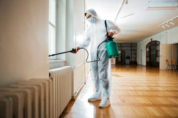 Best Wasp Removal Services  in Gardner, KS