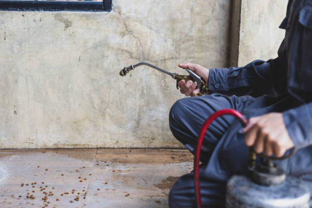 Best Mosquito Control Services  in Gardner, KS