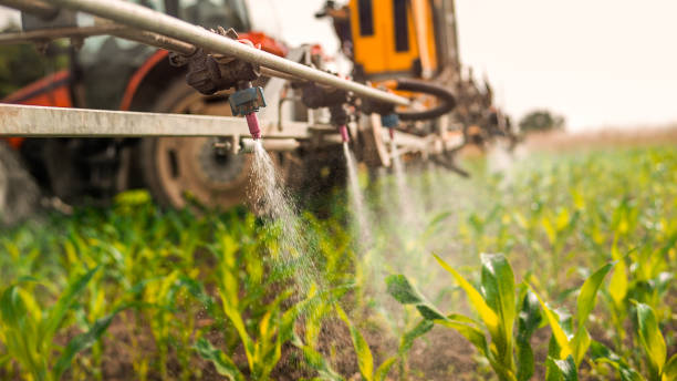Best Pest Removal Services  in Gardner, KS